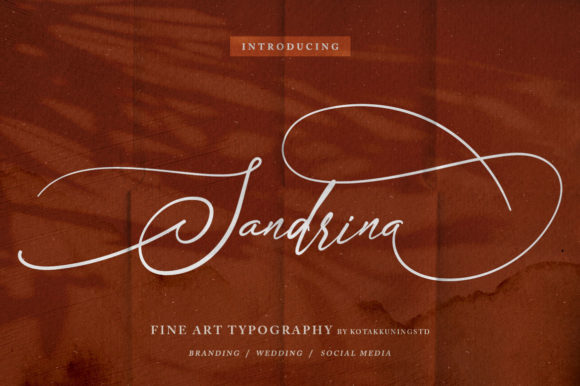 Font Choice That Speaks Volumes: Sandrina in Action