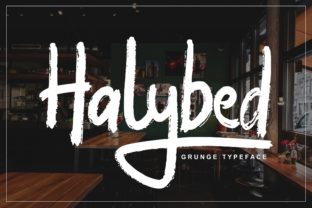 Font Review: Halybed for Web Design