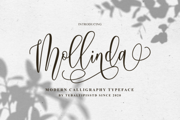 Mollinda: A Script Font with Timeless Charm