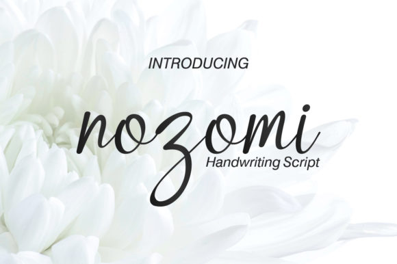 Nozomi: A Friendly Script Font for Creative Campaigns