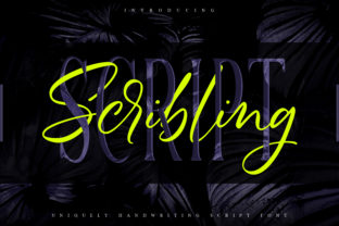 Scribbling: A Timeless Script Font for Modern Web Design