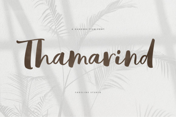 Thamarind: A Friendly Script Font for Digital Branding