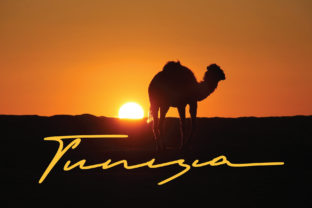 Tunisia Script Font for Web Design