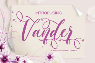 Vander: A Font That Elevates Your Campaigns