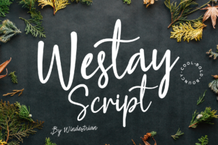 Westay: The Font That Elevates Your Campaigns
