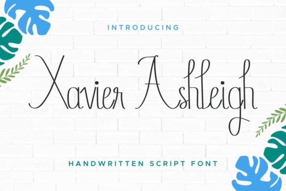 Xavier Ashleigh: A Timeless Script for Branding Projects